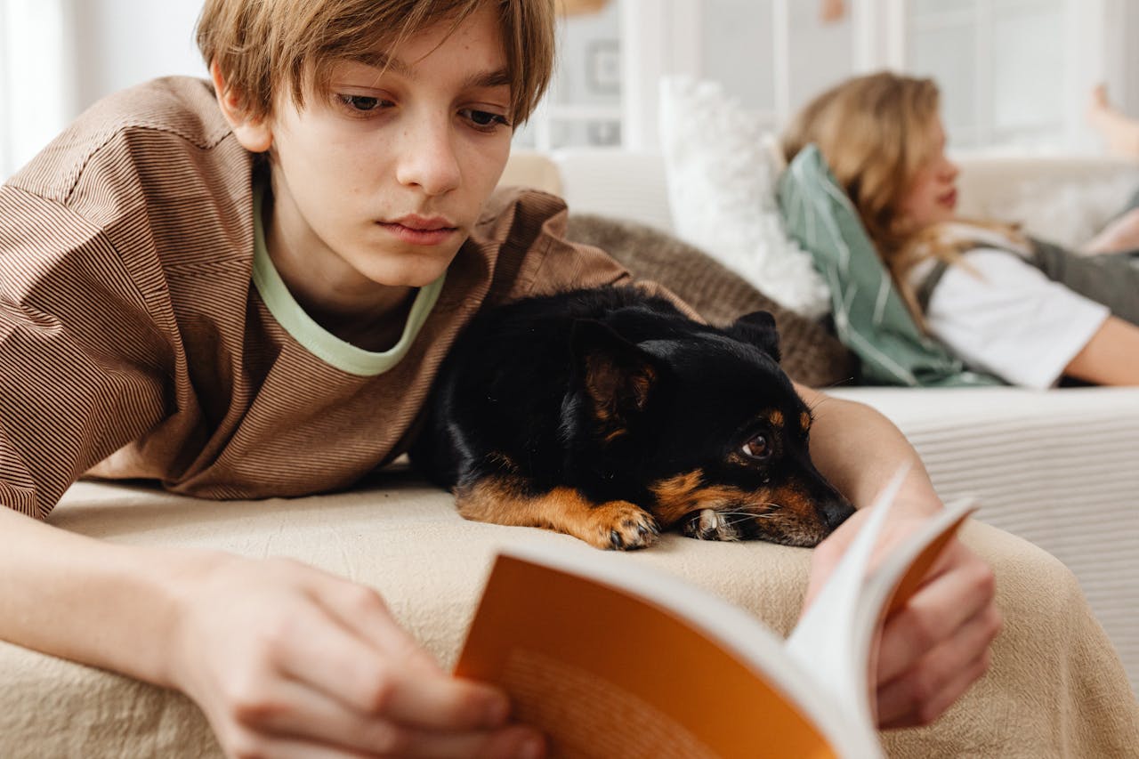 Por serem muito sociáveis, a raça se dá bem com outros animais de estimação, desde que sejam introduzidos corretamente. Também são ótimos companheiros para crianças, embora seja importante supervisionar a interação entre eles e crianças pequenas, devido ao seu tamanho frágil.