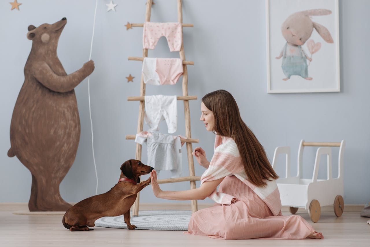 O Dachshund não necessita de grandes espaços e se adapta bem à vida em apartamentos. Ele precisa de atividades regulares para gastar sua energia, mas é ideal para quem não tem grandes áreas externas. Sua personalidade curiosa o faz explorar tudo ao seu redor.