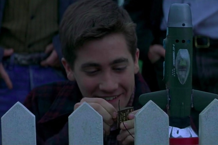 Sua carreira ganhou destaque no fim dos anos 1990 e início dos anos 2000, com papéis em filmes como "O Céu de Outubro" (1999 - foto) e "Donnie Darko" (2001).
