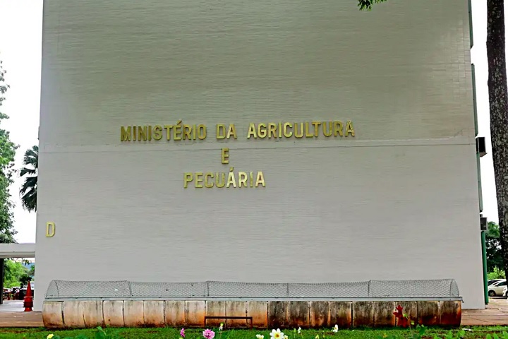 Representantes da China e do Brasil têm reunião sobre oportunidades no agronegócio