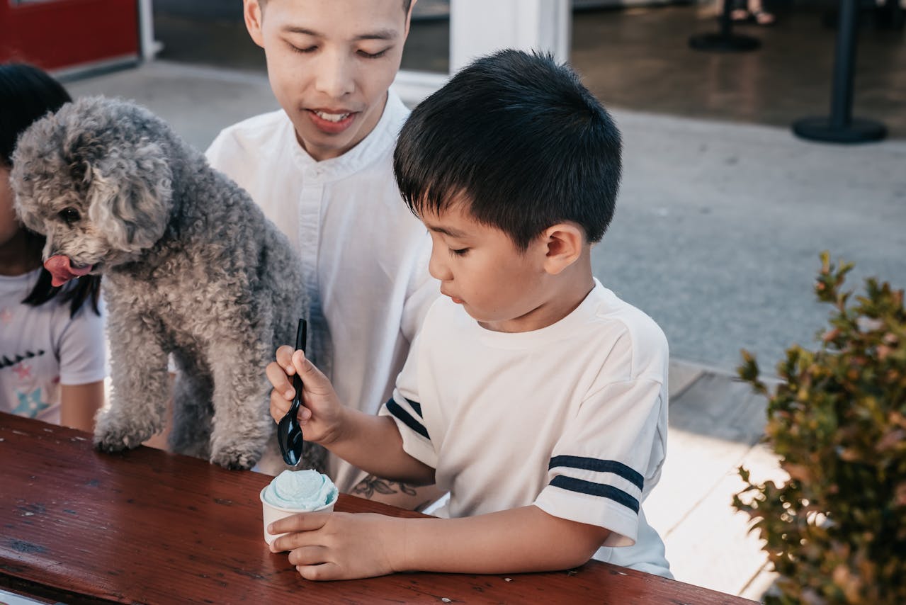 Uma das características mais marcantes do Poodle é o seu pelo encaracolado e espesso. Ele é hipoalergênico, o que o torna uma excelente opção para pessoas com alergias.