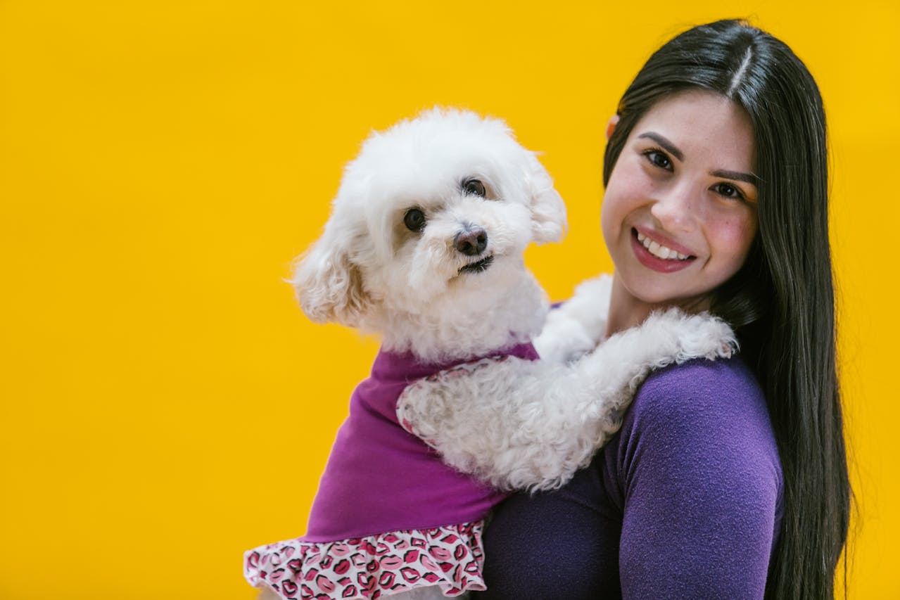 Um Poodle bem cuidado é um excelente companheiro para quem procura um animal de estimação dedicado e carinhoso. Ele é ideal para quem possui uma rotina ativa, pois além de precisar de cuidados com o pelo, também necessita de exercícios físicos regulares para manter sua saúde mental e física.