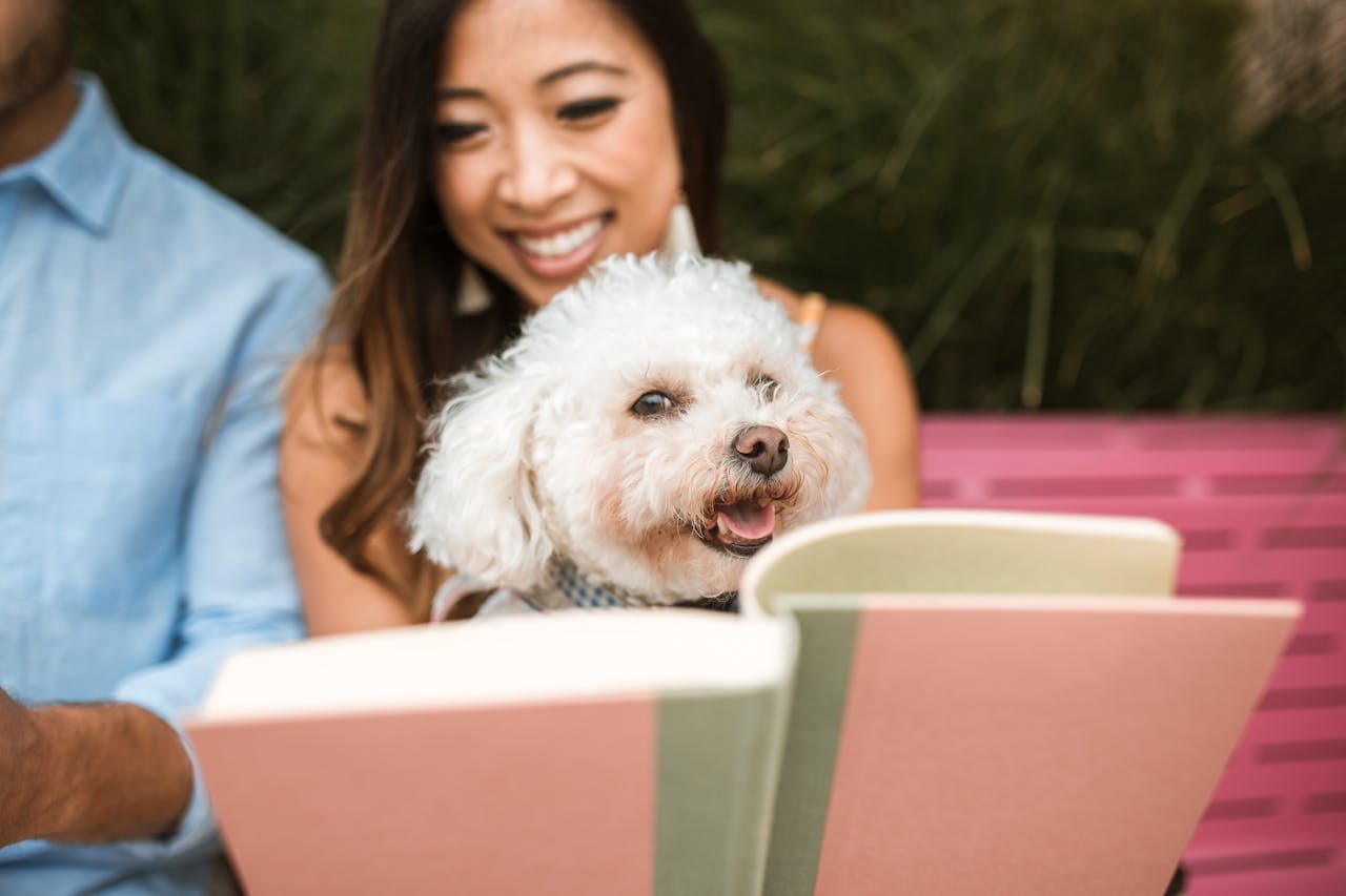 No geral, o Poodle é considerado um cão de fácil convivência e que se dá bem tanto em espaços pequenos quanto em grandes. Isso se deve ao seu comportamento calmo dentro de casa, embora precise de atividades físicas regulares. Eles também adoram brincar e são conhecidos por sua energia.
