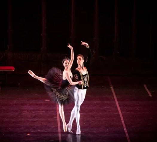 Cisne