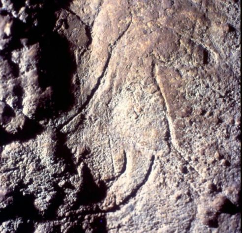 Cova de les Dones - Caverna das mulheres, Valência, Espanha