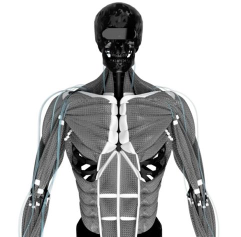 Proctoclone - Clone Robotics