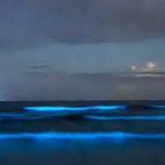 Bioluminescência em praia de Ubatuba