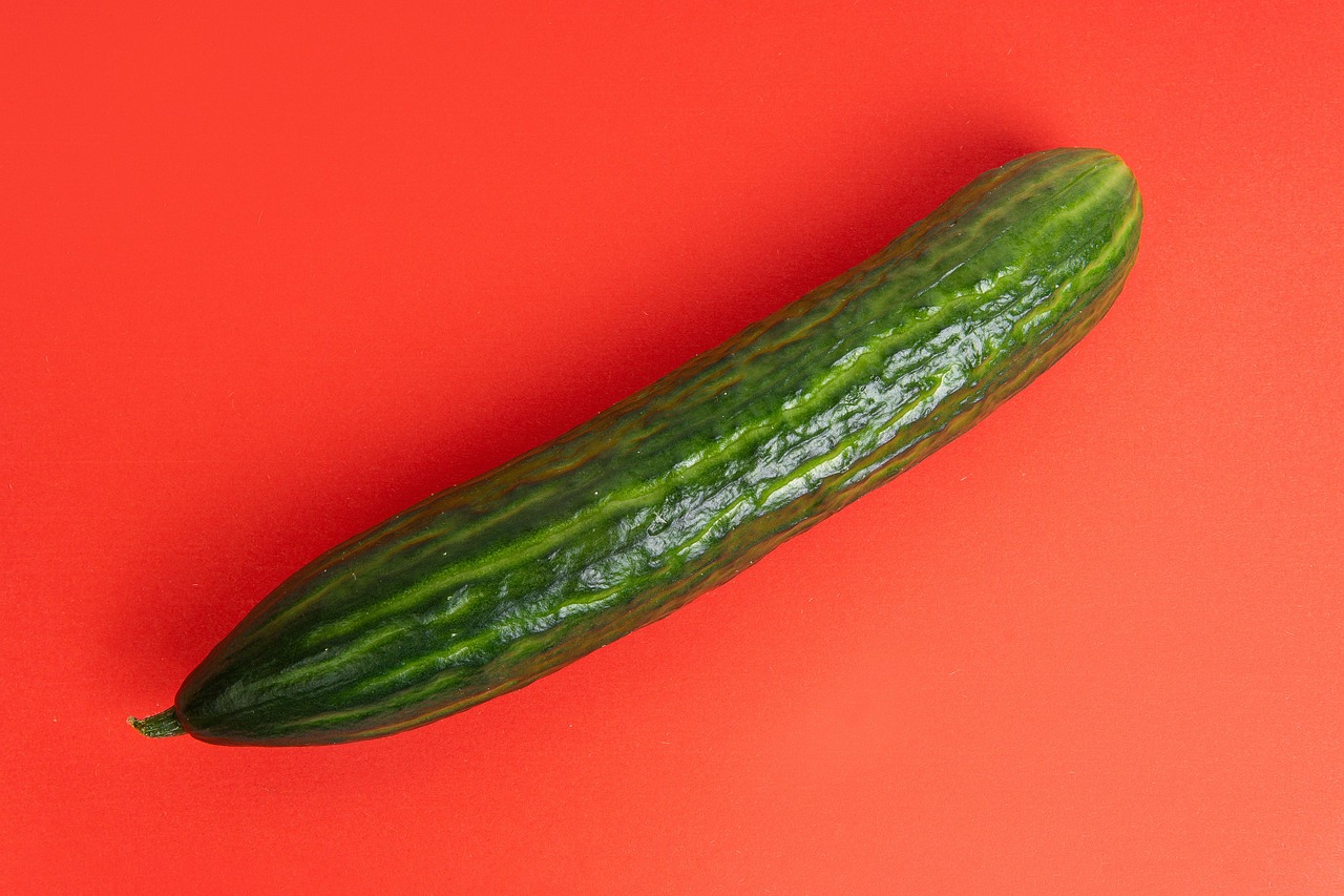 Entre os principais, a sua capacidade de ajudar na perda de peso merece destaque. Por ser baixo em calorias e rico em fibras e água, o pepino aumenta a sensação de saciedade e reduz o apetite, o que pode auxiliar na redução de calorias diárias, tornando-se um aliado em dietas de emagrecimento.