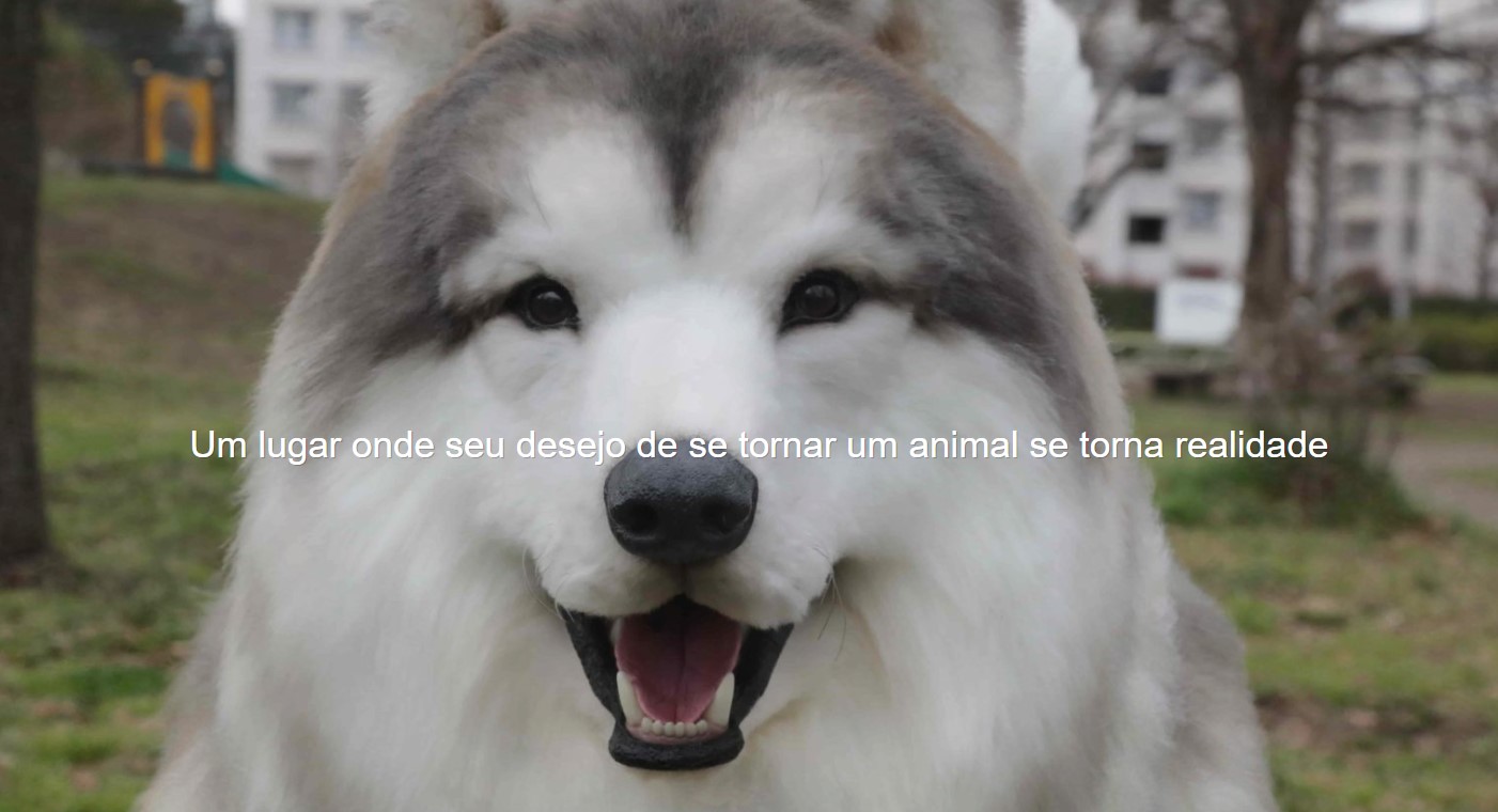 ‘Homem-cachorro’ do Japão abre ‘zoológico’ para pessoas que desejam ser animais
