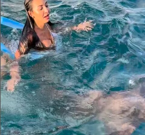 Pra quem não viu: Mulher toma susto e chuta tubarão em Fernando de Noronha