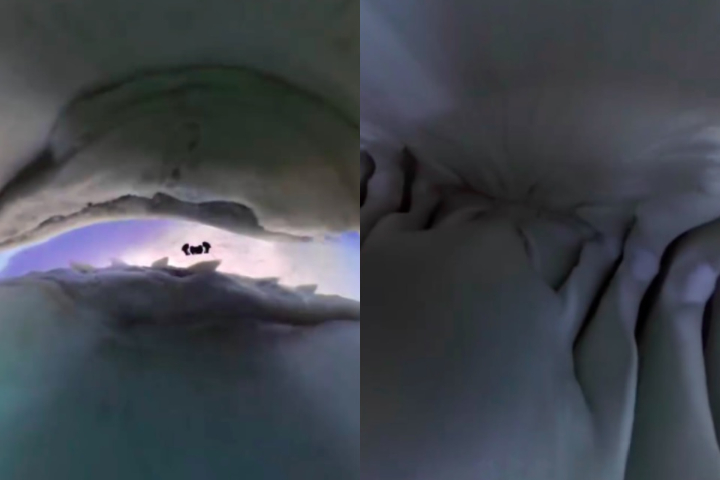 Após perceber que a câmera não era comestível, o tubarão a cuspiu, permitindo que os mergulhadores recuperassem o equipamento. O vídeo viralizou e já acumula mais de 3,4 milhões de visualizações no Instagram.