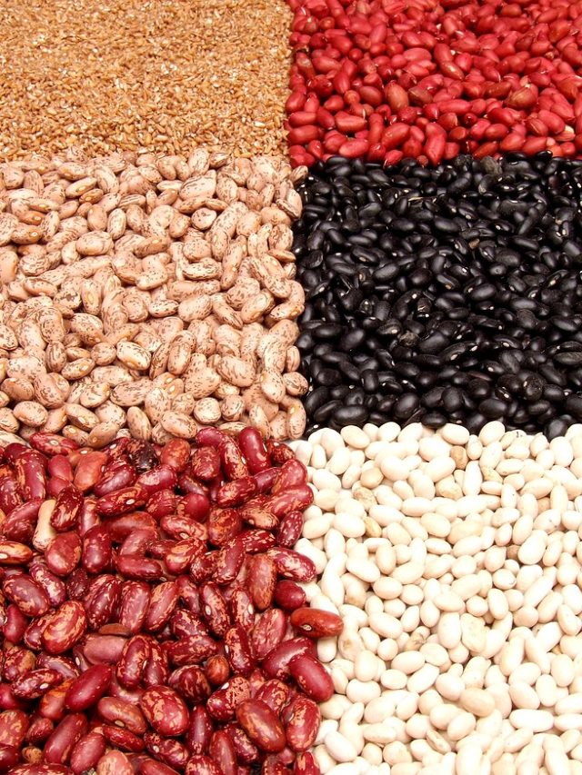 Feijões para todos os gostos ; qual você prefere?